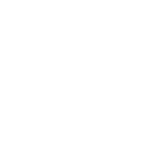Tripadviser Choice